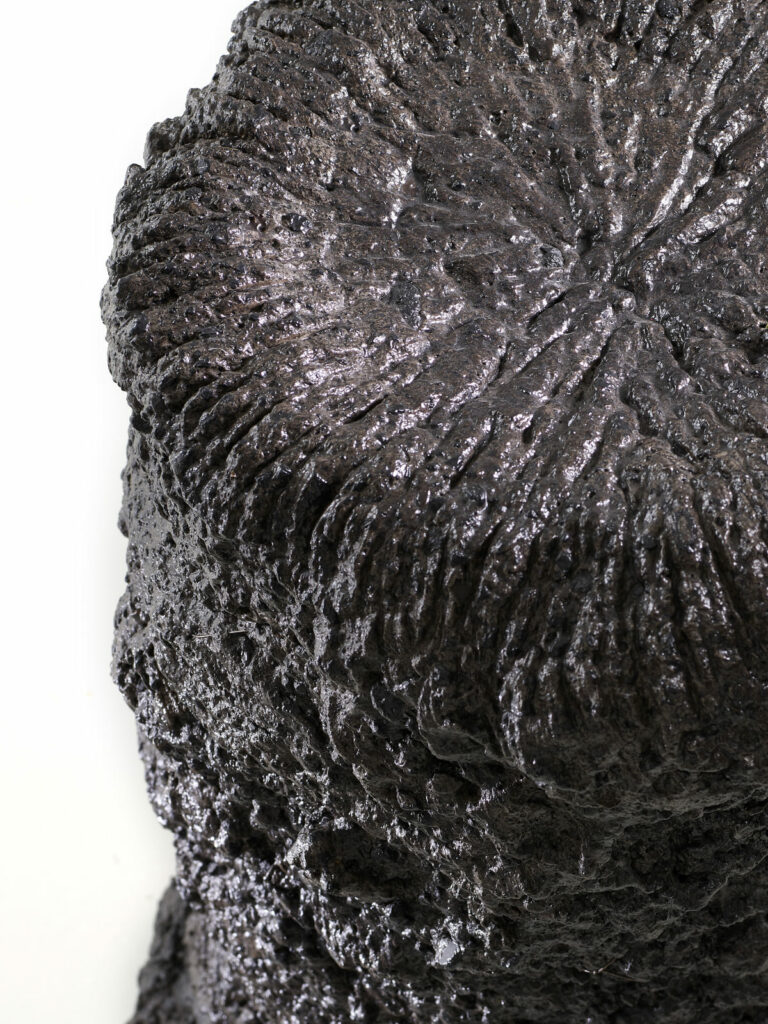 Présentation d'un détail de la sculpture Carbon Rock Stromatolite, réalisé par l'artiste Frédéric Naud