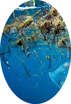 Vision des déchets plastiques dans la mer