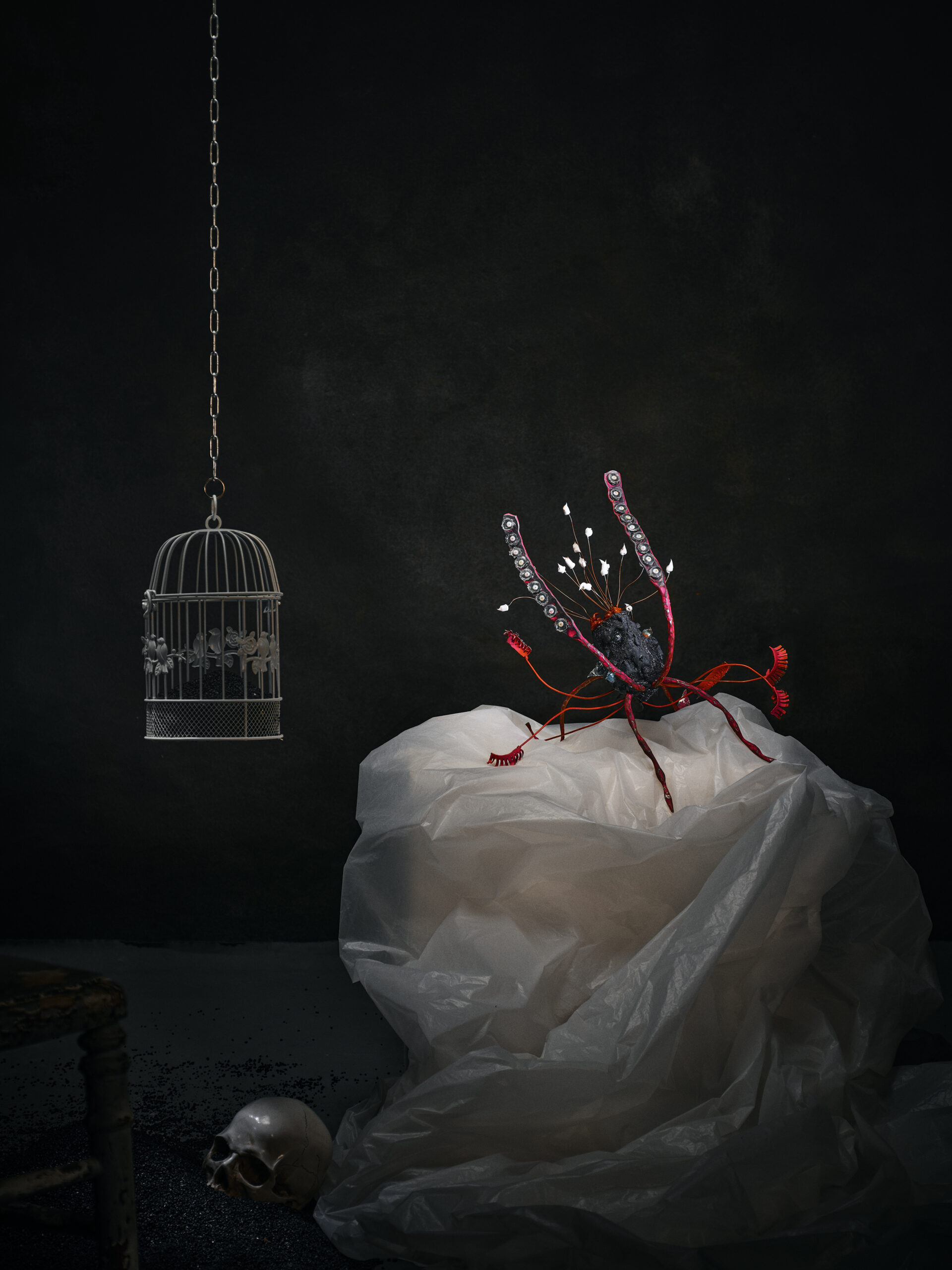 Photo mise en scène par l'artiste photographe Gildas PARÉ, d'une oeuvre collaborative Cadavre exquis de Frédéric Naud et Jean-Philippe Jacq