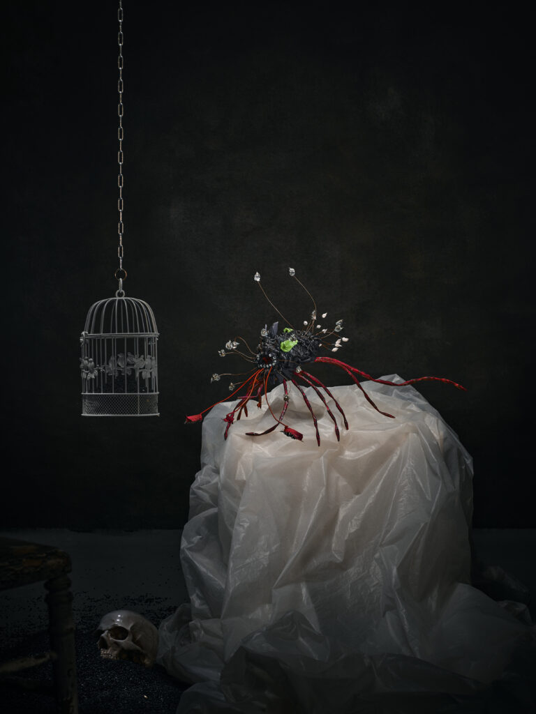 Photo mise en scène par l'artiste photographe Gildas PARÉ, d'une oeuvre collaborative Cadavre exquis de Frédéric Naud et Jean-Philippe Jacq