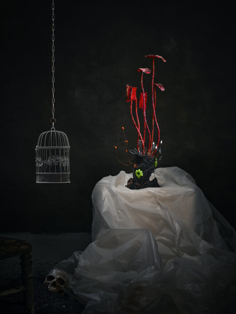 Photo mise en scène par l'artiste photographe Gildas PARÉ, d'une oeuvre collaborative Cadavre exquis de Frédéric Naud et Jean-Philippe Jacq