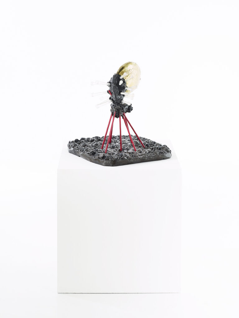 Photo du photographe Gildas PARÉ, de la petites sculpture de l'artiste contemporain Frédéric NAUD