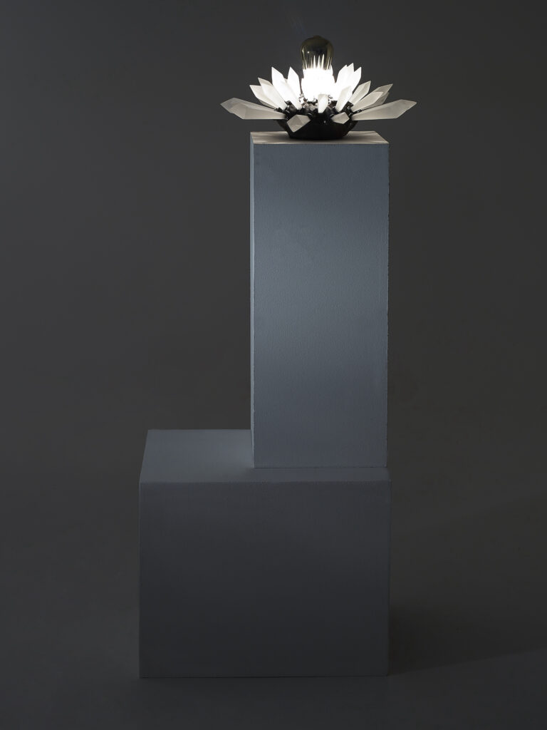 Photo dans la noir de l'oeuvre lumineuse du sculpteur français contemporain Frédéric NAUD