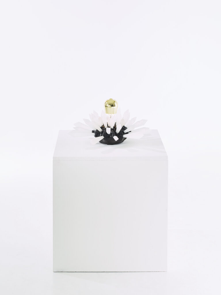 Photo sur plot de l'oeuvre lumineuse du sculpteur français contemporain Frédéric NAUD