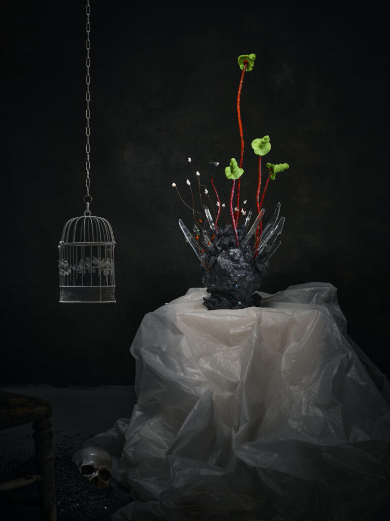 Photo mise en scène par l'artiste photographe Gildas PARÉ, d'une oeuvre collaborative Cadavre exquis de Frédéric Naud et Jean-Philippe Jacq