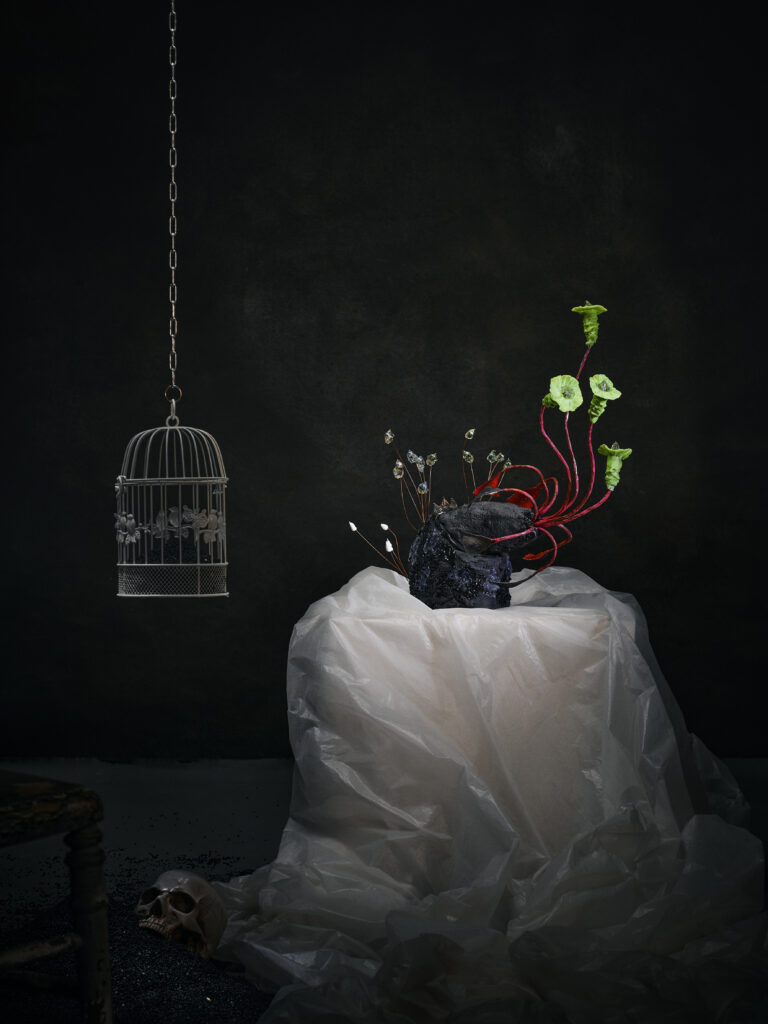 Photo mise en scène par l'artiste photographe Gildas PARÉ, d'une oeuvre collaborative Cadavre exquis de Frédéric Naud et Jean-Philippe Jacq