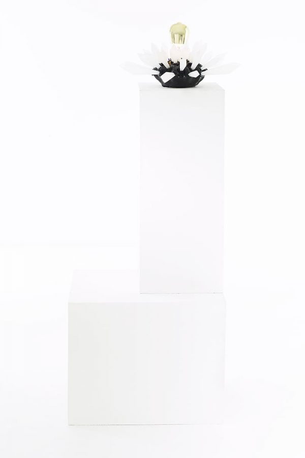 CARBON ROCK WALL LIGHT 1.1 Présentation de l'oeuvre lumineuse Carbon Rock Wall Light