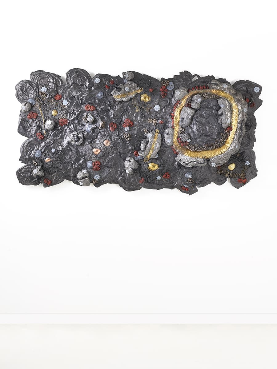 Carbon Rock Wall Life 1.1 Vue intégrale de la sculpture murale Carbon Rock Wall Life, de l'artiste contemporain Fred Naud