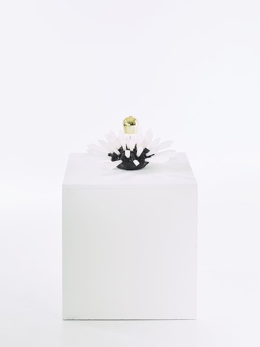 Carbon Rock Wall Light 1.10 Vue sur plot de l'oeuvre lumineuse Carbon Rock Wall Light